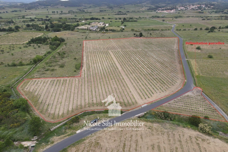 1 - venta terreno latour-de-france pirineos orientales francia