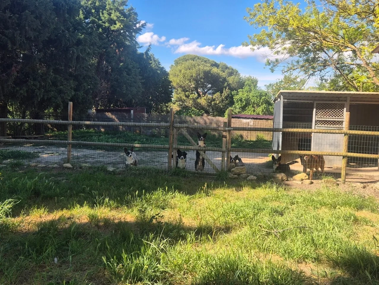 2 - house for sale in villepinte aude france