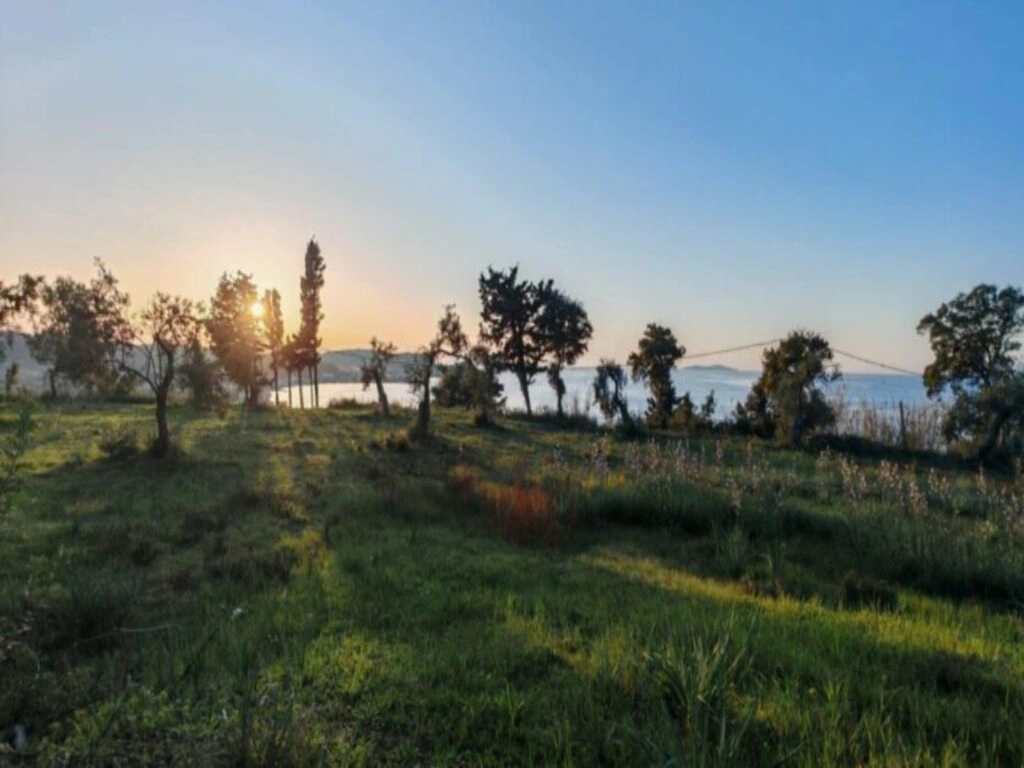 1 - vente terrain vue mer karousádes îles ioniennes grèce