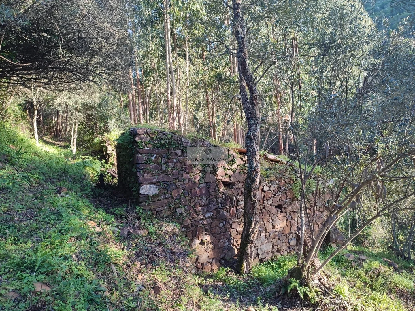 2 - venta casa monchique algarve portugal