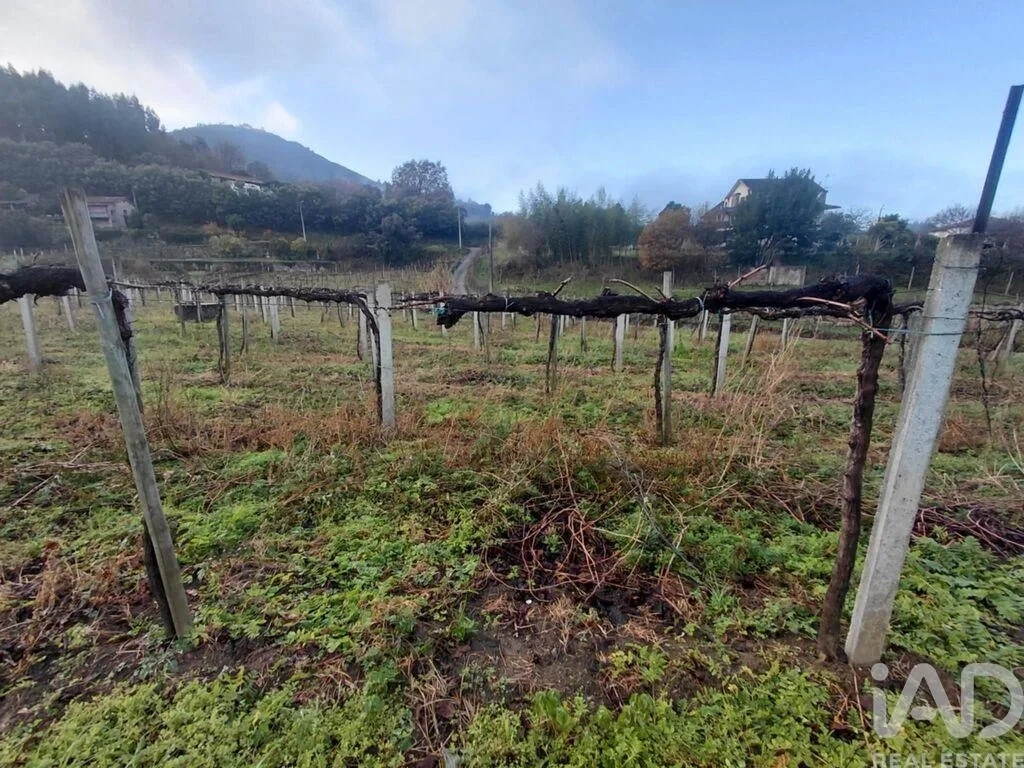 1 - venta terreno monção región norte portugal