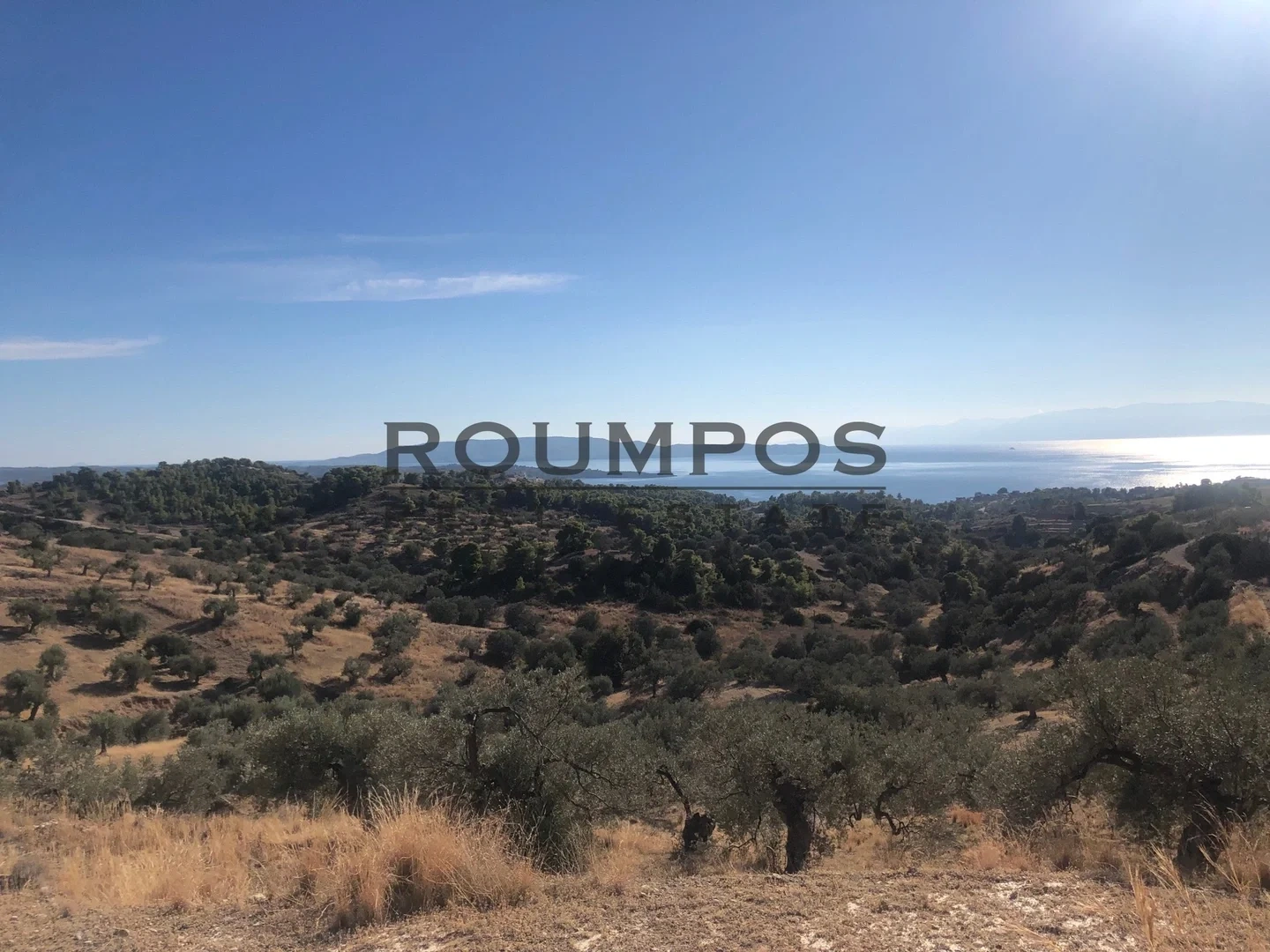 1 - vente terrain kranídi péloponnèse grèce