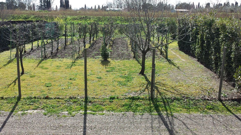 2 - plot of land for sale in follonica tuscany italy