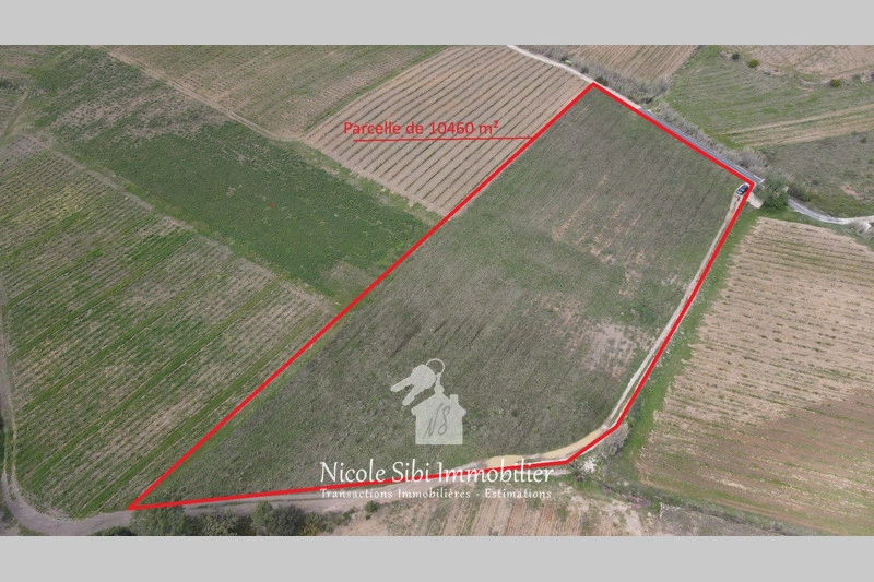 1 - verkoop terrein tautavel pyrénées-orientales frankrijk