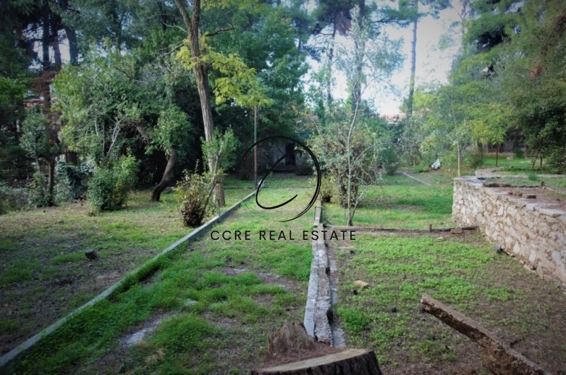 2 - vente terrain ekali attique grèce