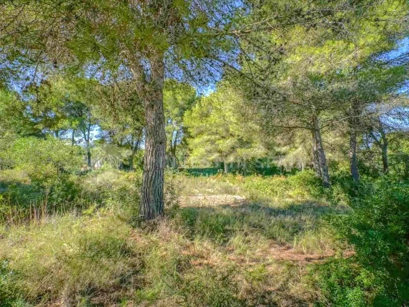 2 - vente terrain xabia/javea - costa blanca communauté valencienne espagne