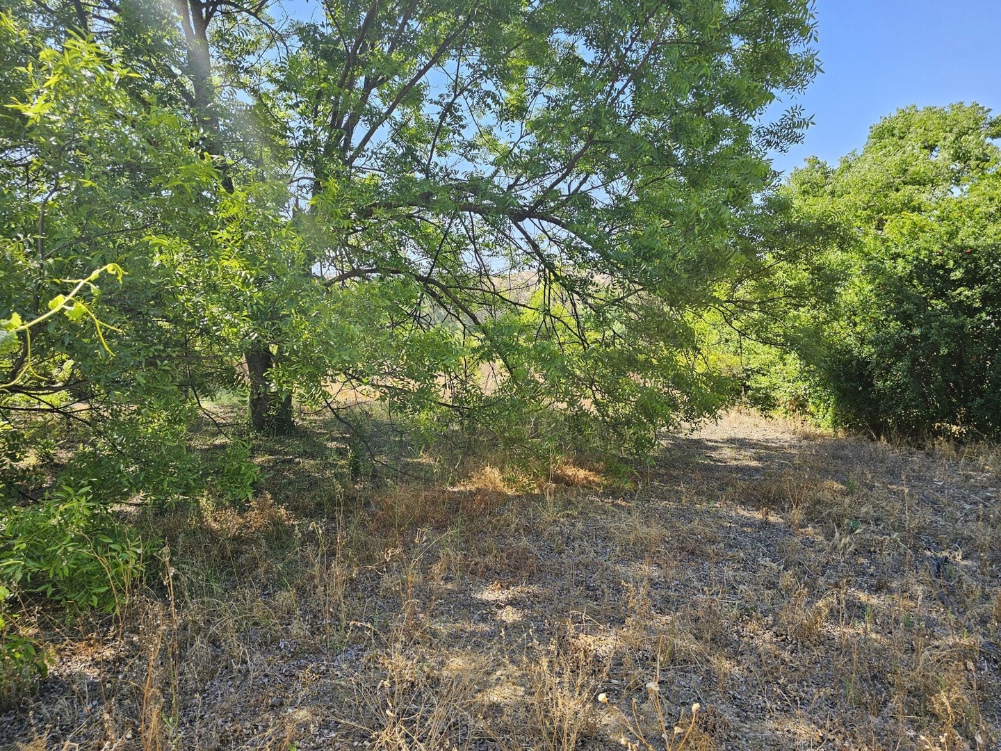 1 - estate for sale in coin andalusia spain