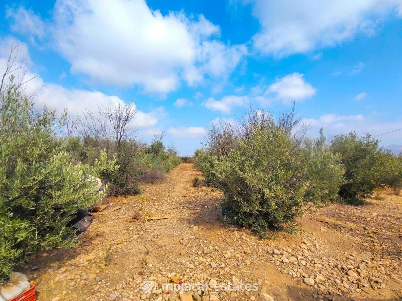 2 - house for sale in la algarrobina andalusia spain