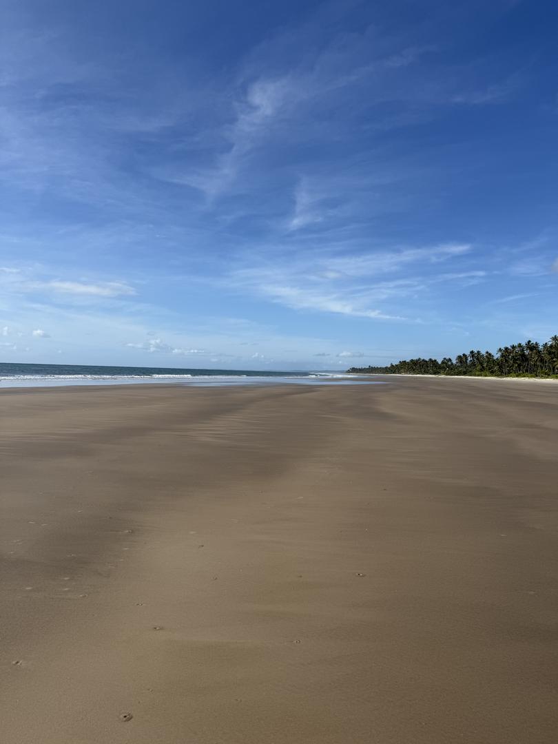 1 - vente propriété plage à pied ilhéus bahia brésil