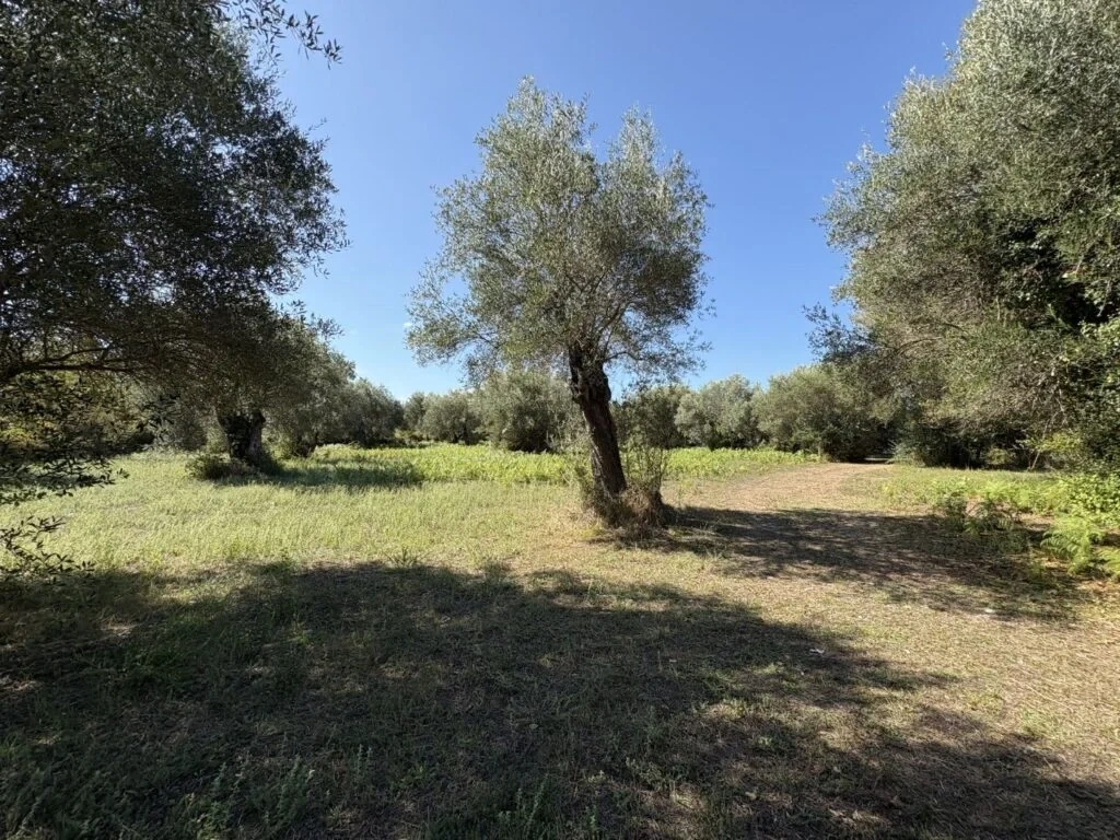 1 - vente terrain róda îles ioniennes grèce