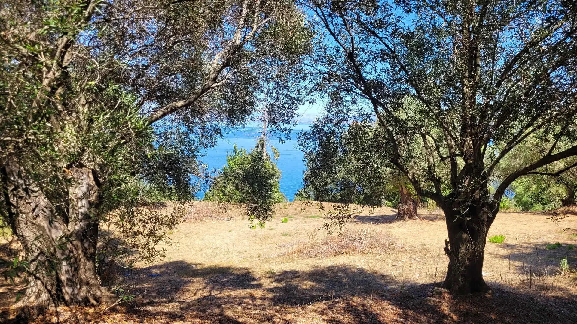 2 - vendita terreno vista mare corfu isole ioniche grecia