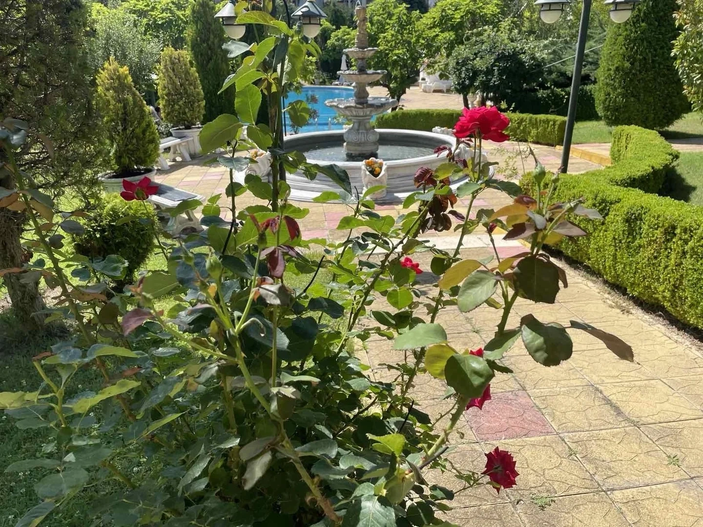 2 - vente appartement sveti vlas burgas bulgarie