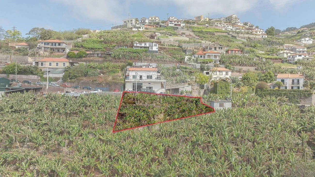 1 - verkauf grundstück meerblick câmara de lobos madeira portugal