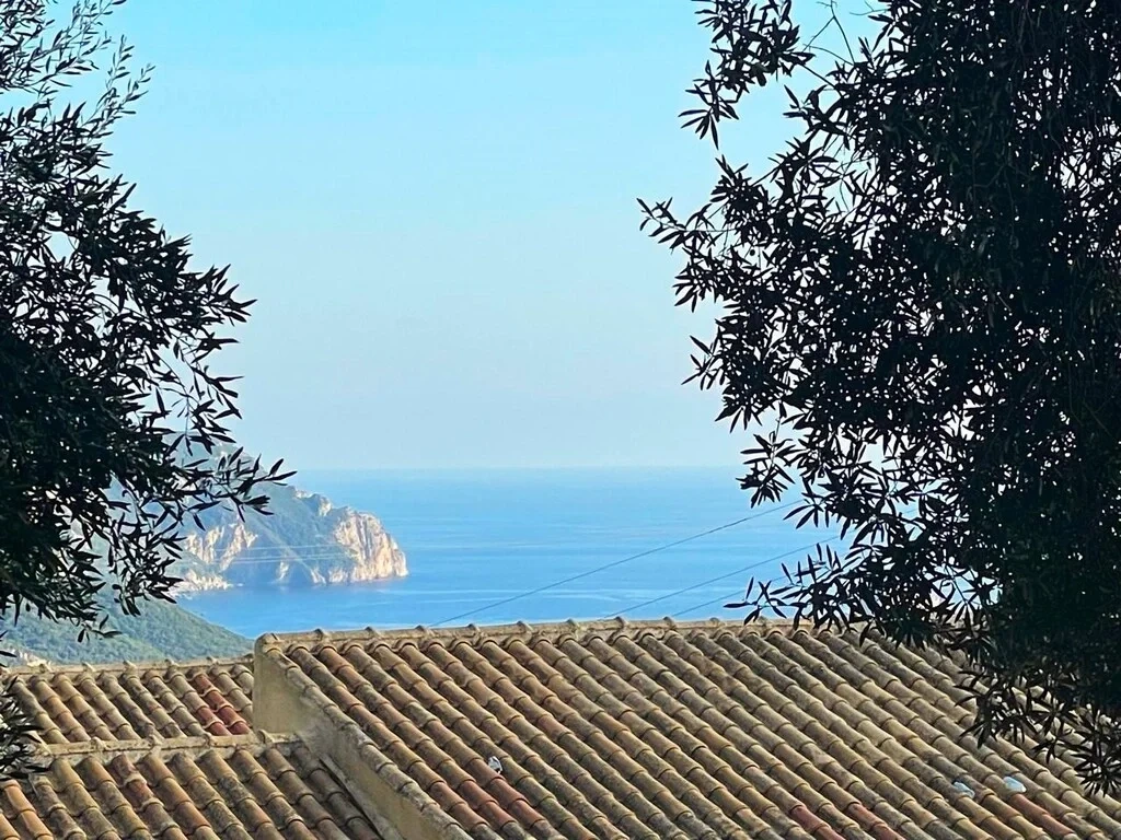 2 - vente terrain vue mer palaiokastrítsa îles ioniennes grèce