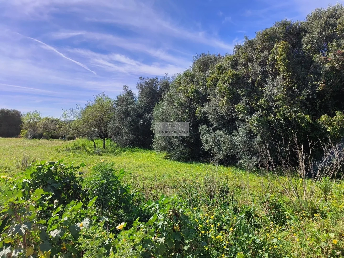 1 - venta terreno vila do bispo algarve portugal