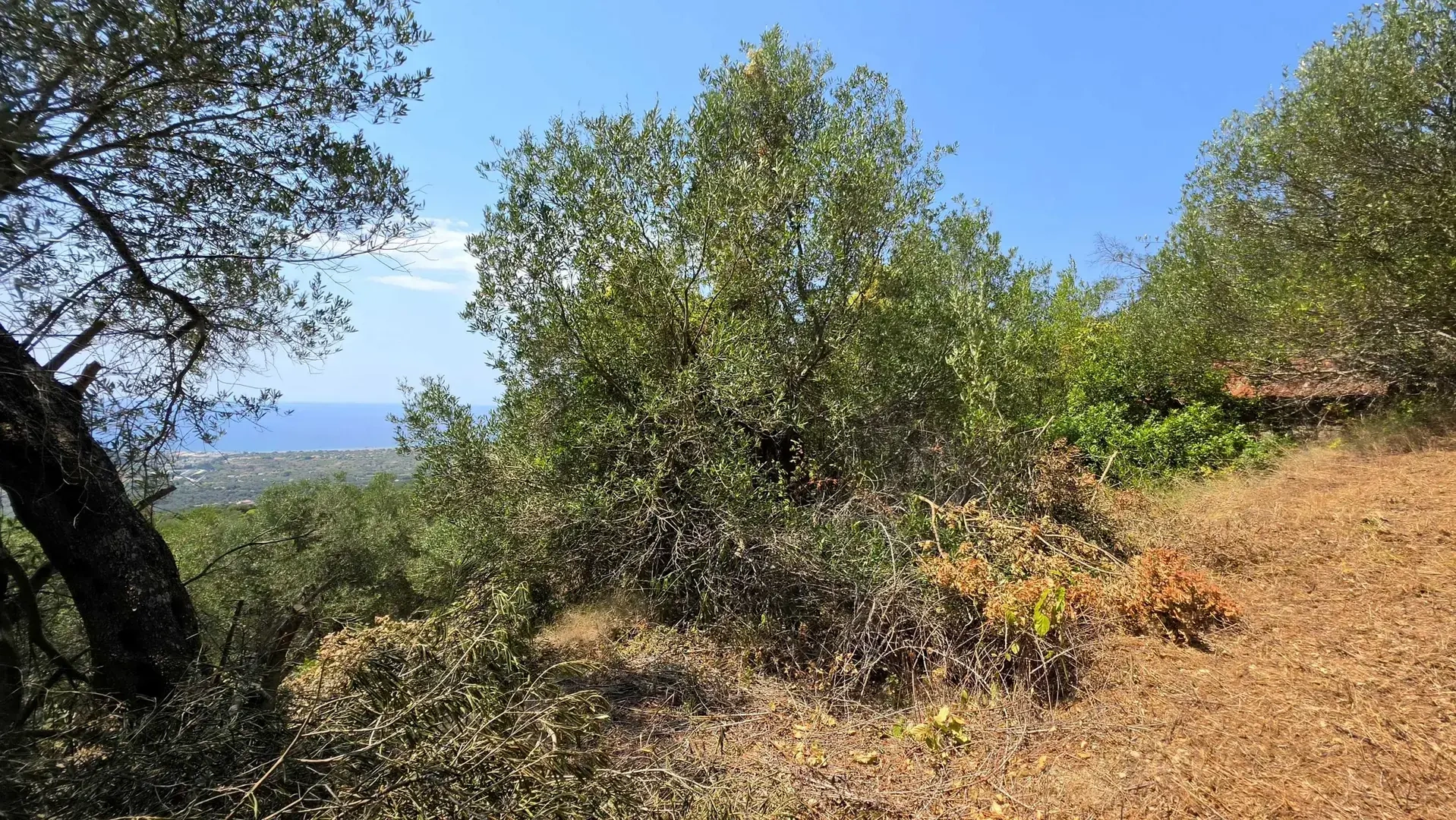 1 - продажа территория вид моря corfu ионические острова греция