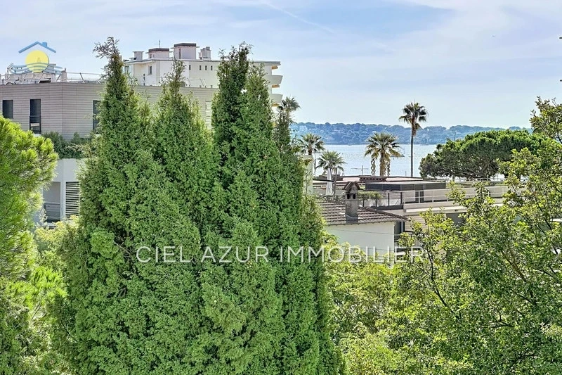 1 - sea view apartment for sale in juan les pins alpes-maritimes france