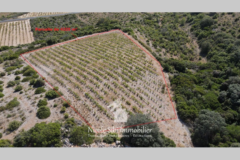 2 - verkoop terrein tautavel pyrénées-orientales frankrijk