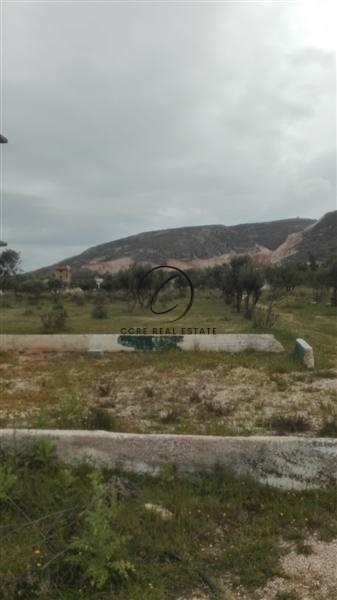 1 - vente terrain markopoulo attique grèce