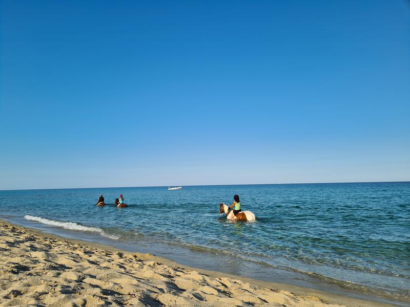 1 - sea view estate for sale in sari-solenzara corsica (south) france