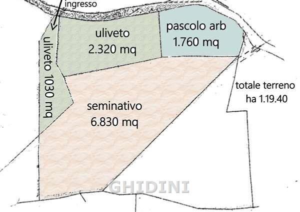 2 - vente terrain castiglione della pescaia toscane italie