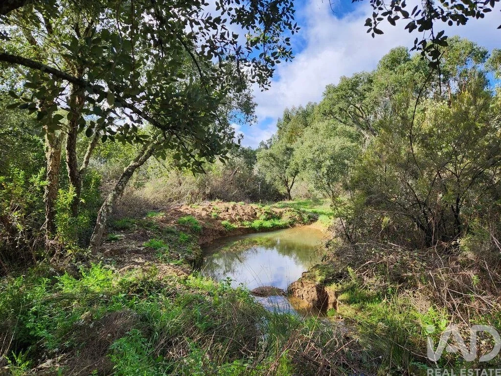 2 - venta casa castelo branco región centro portugal