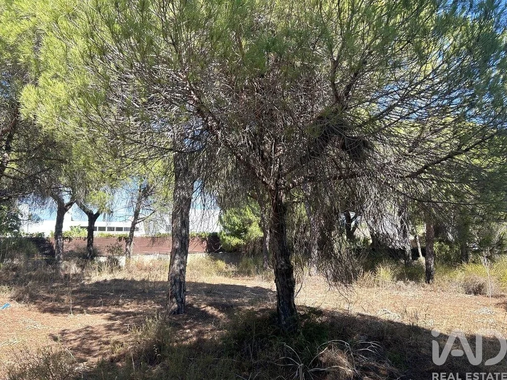 2 - plot of land for sale in almancil algarve portugal