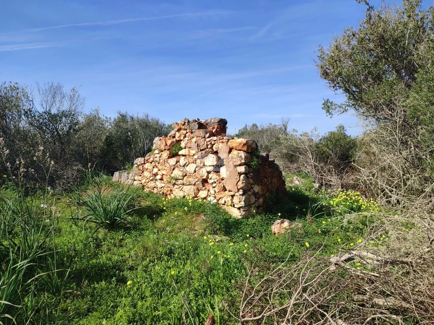 1 - venta terreno vila do bispo algarve portugal