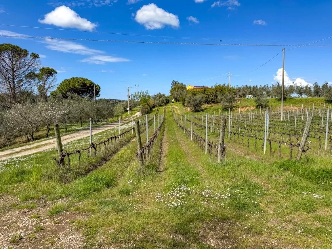 2 - vendita proprietà vista mare castagneto carducci toscana italia