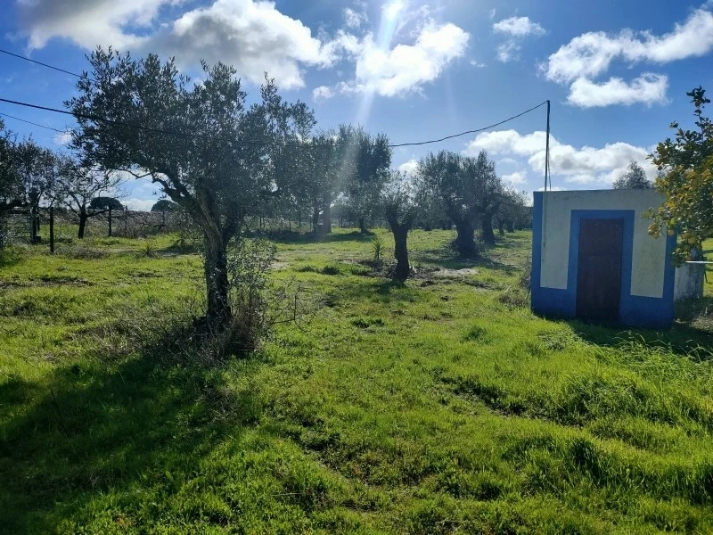 2 - house for sale in grândola alentejo portugal