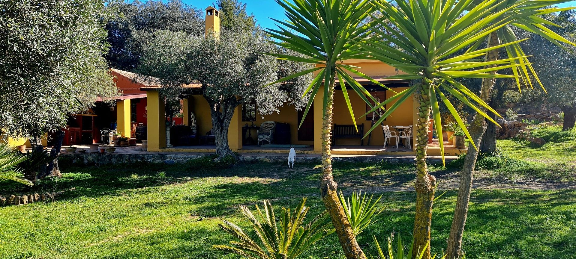 1 - estate for sale in coin andalusia spain