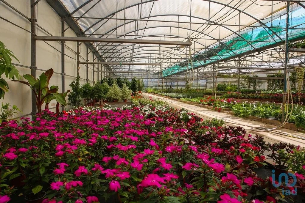 2 - venta comercio torres vedras región centro portugal