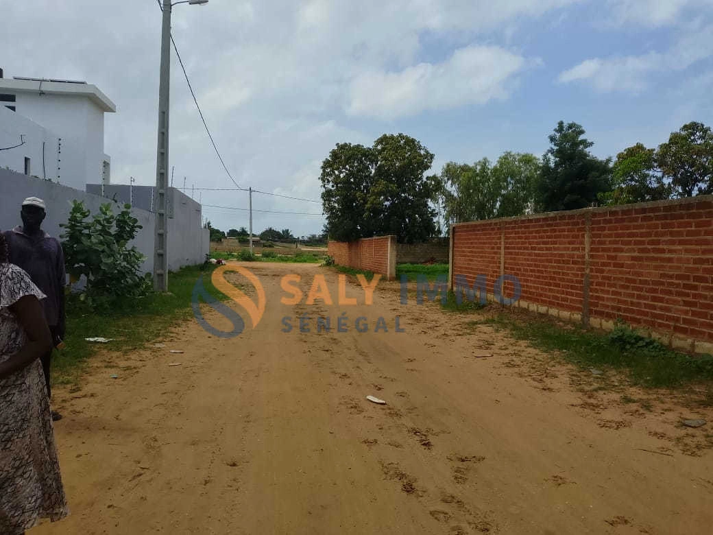 2 - verkoop terrein ngaparou thiès senegal