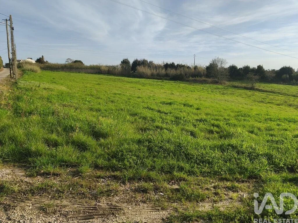 2 - venta terreno cela región centro portugal
