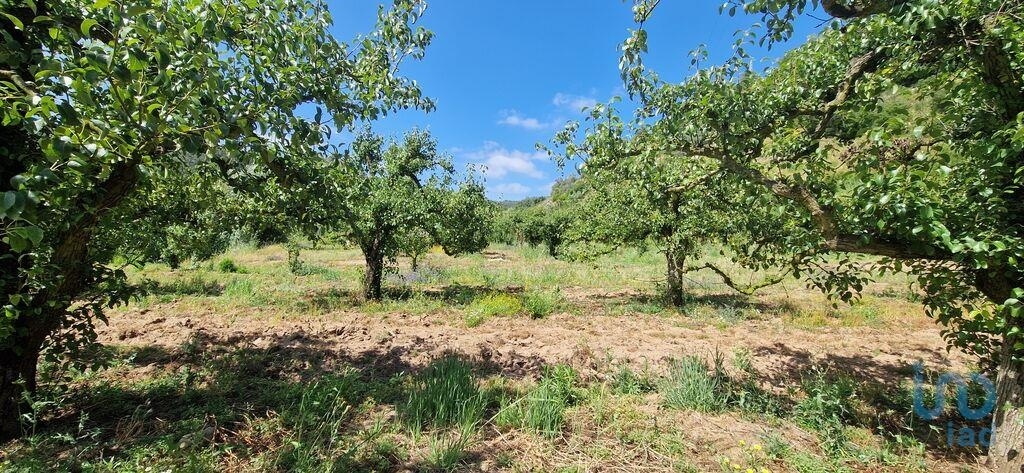 1 - продажа территория mafra лиссабон регион португалия