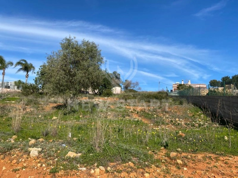 2 - venda terreno pechão algarve portugal