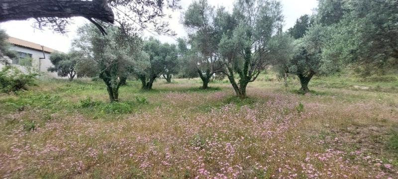 1 - vente terrain lefkada îles ioniennes grèce
