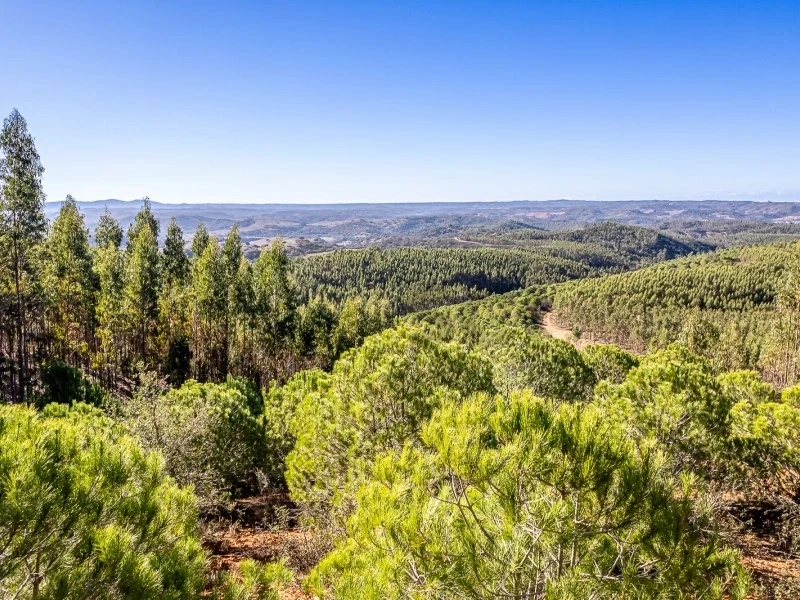 1 - plot of land for sale in odemira alentejo portugal