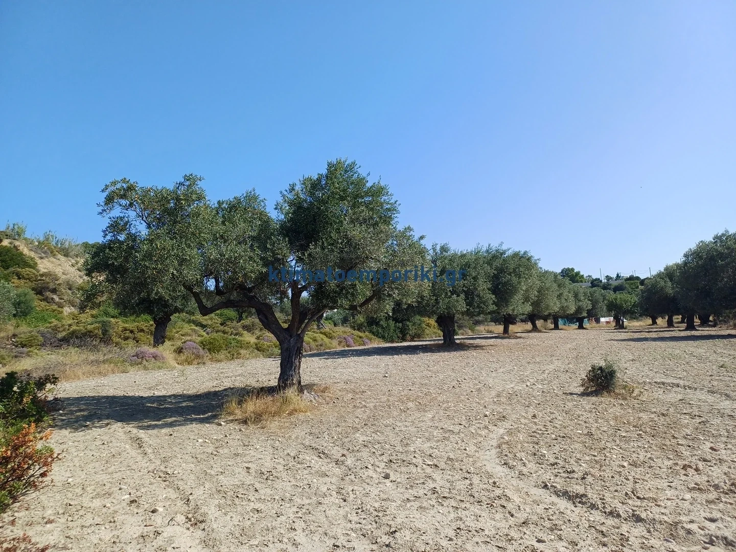 2 - vente terrain afántou egée méridionale grèce