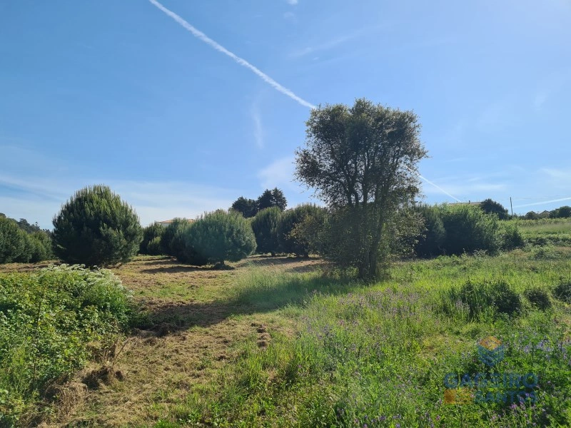 1 - plot of land for sale in alfeizerão centro region portugal