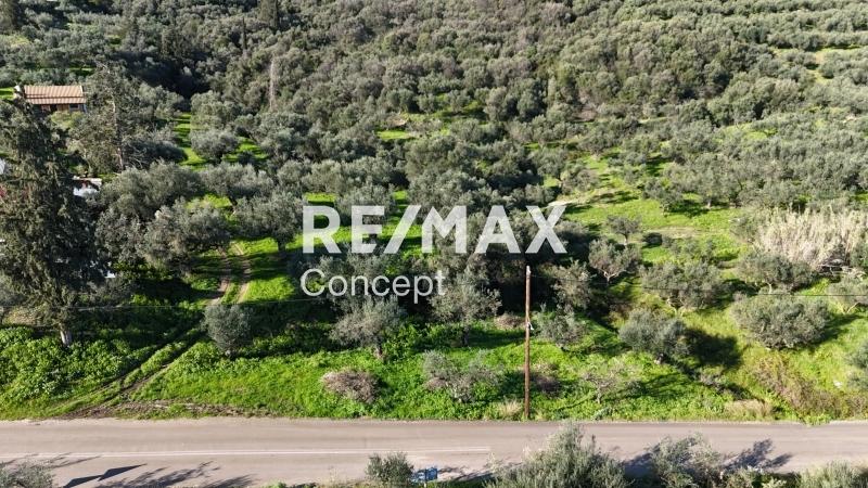1 - venta terreno zante islas jónicas grecia