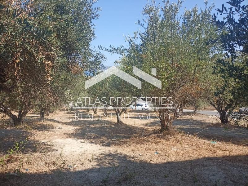 2 - vente terrain vue mer kalyves crète grèce