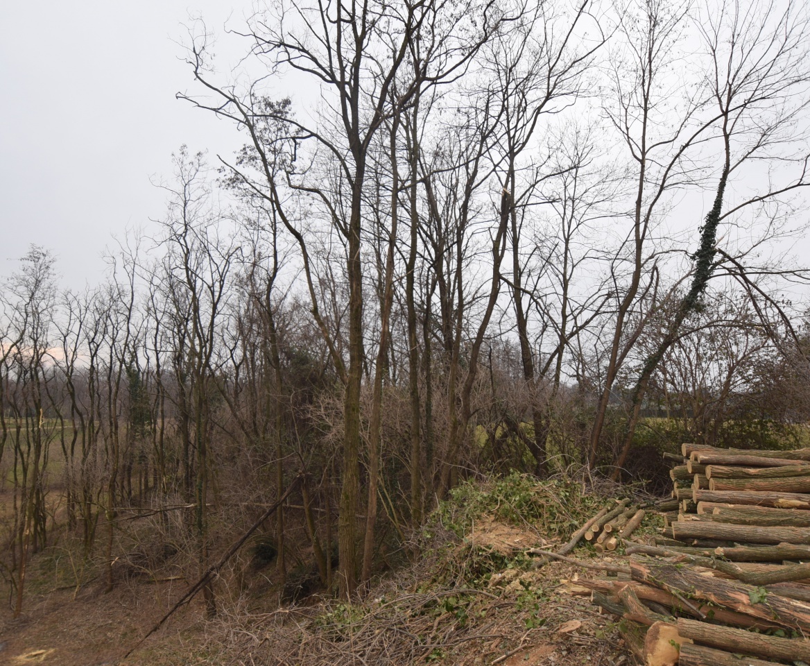 2 - plot of land for sale in montebelluna veneto italy