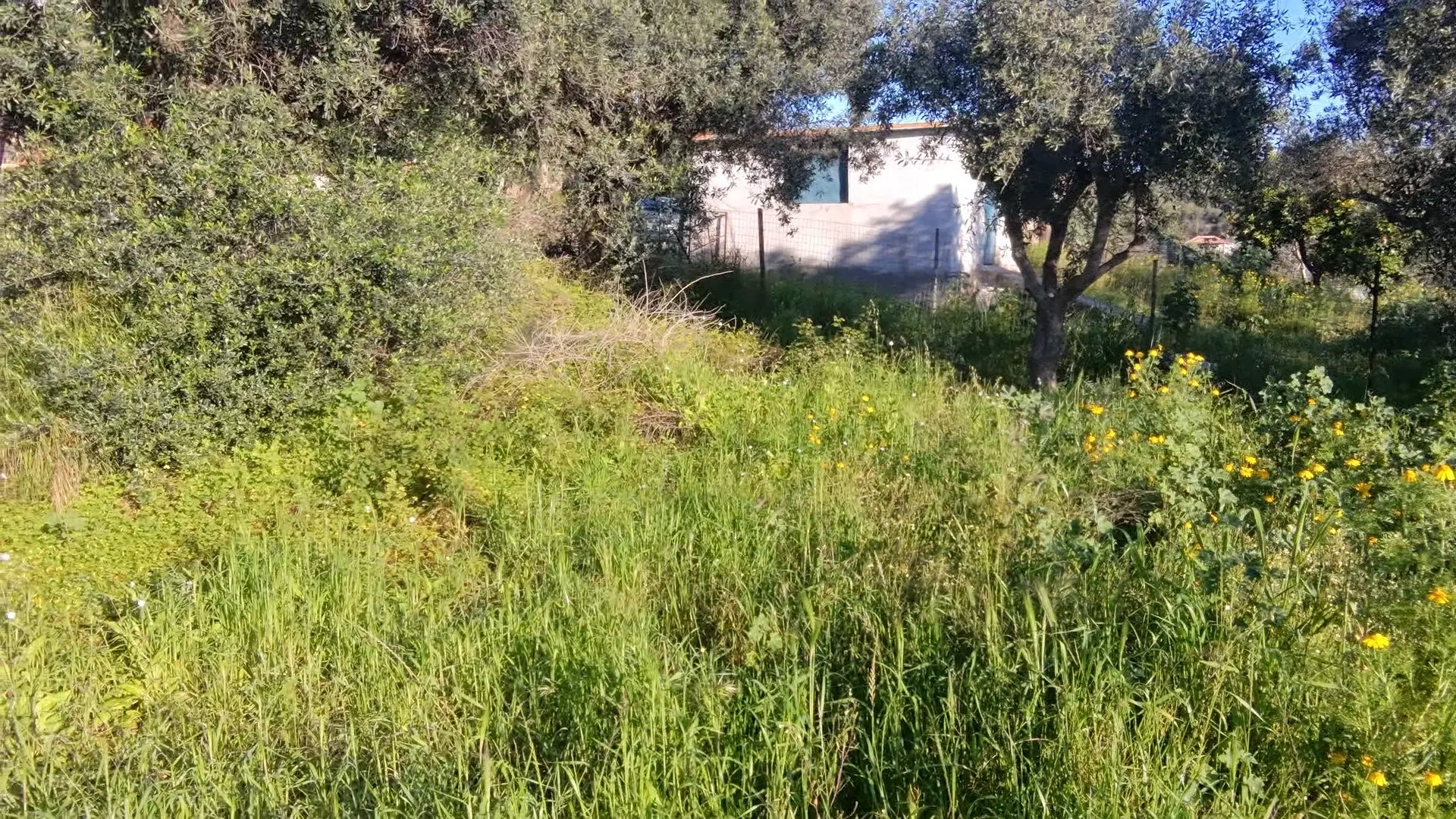 2 - vente terrain vue mer koróni péloponnèse grèce