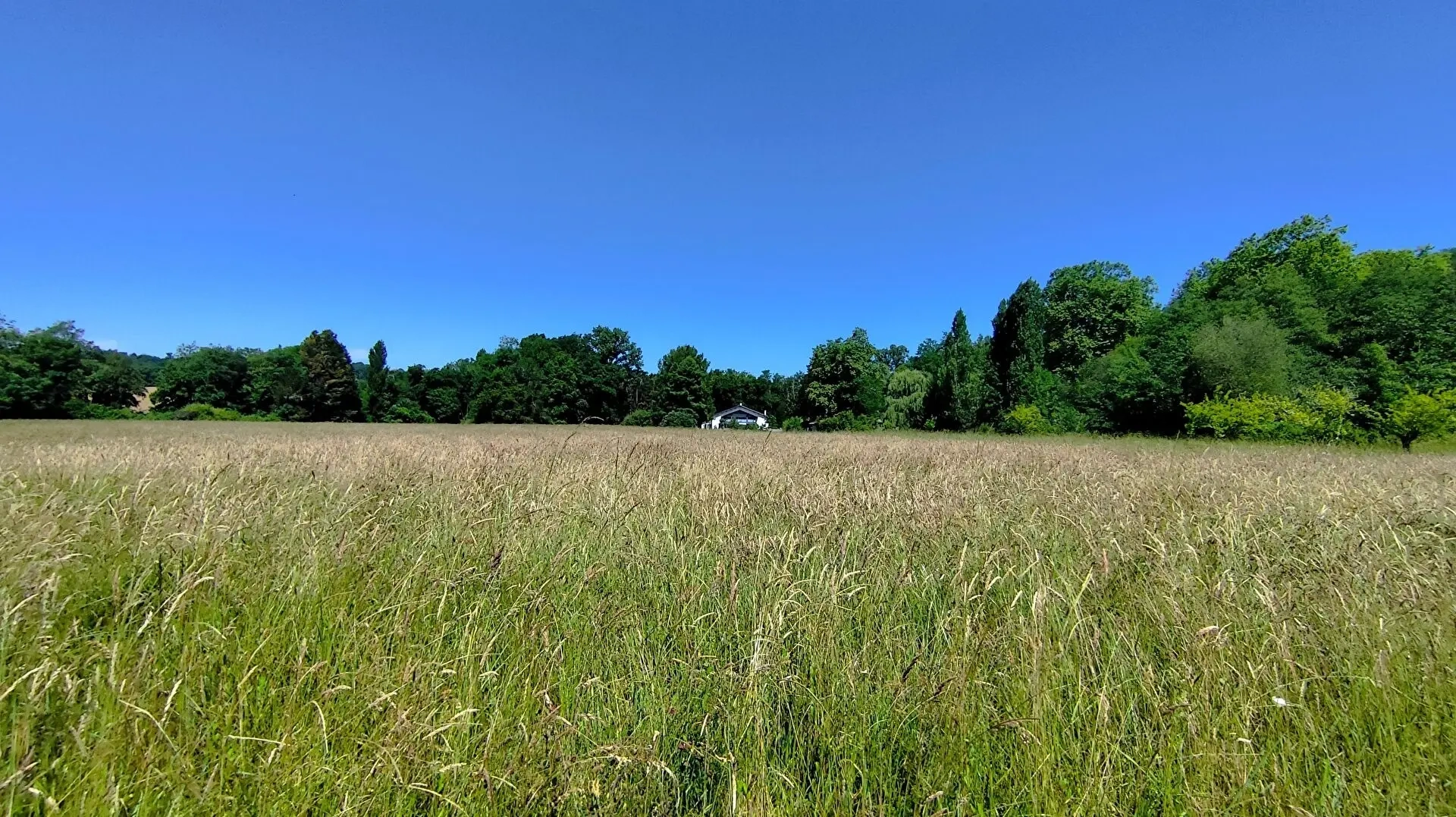 1 - house for sale in peyrehorade landes france