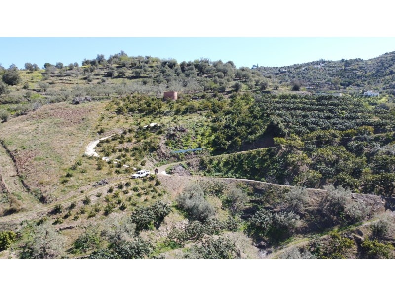 1 - venda terreno vista de mar sayalonga andaluzia espanha
