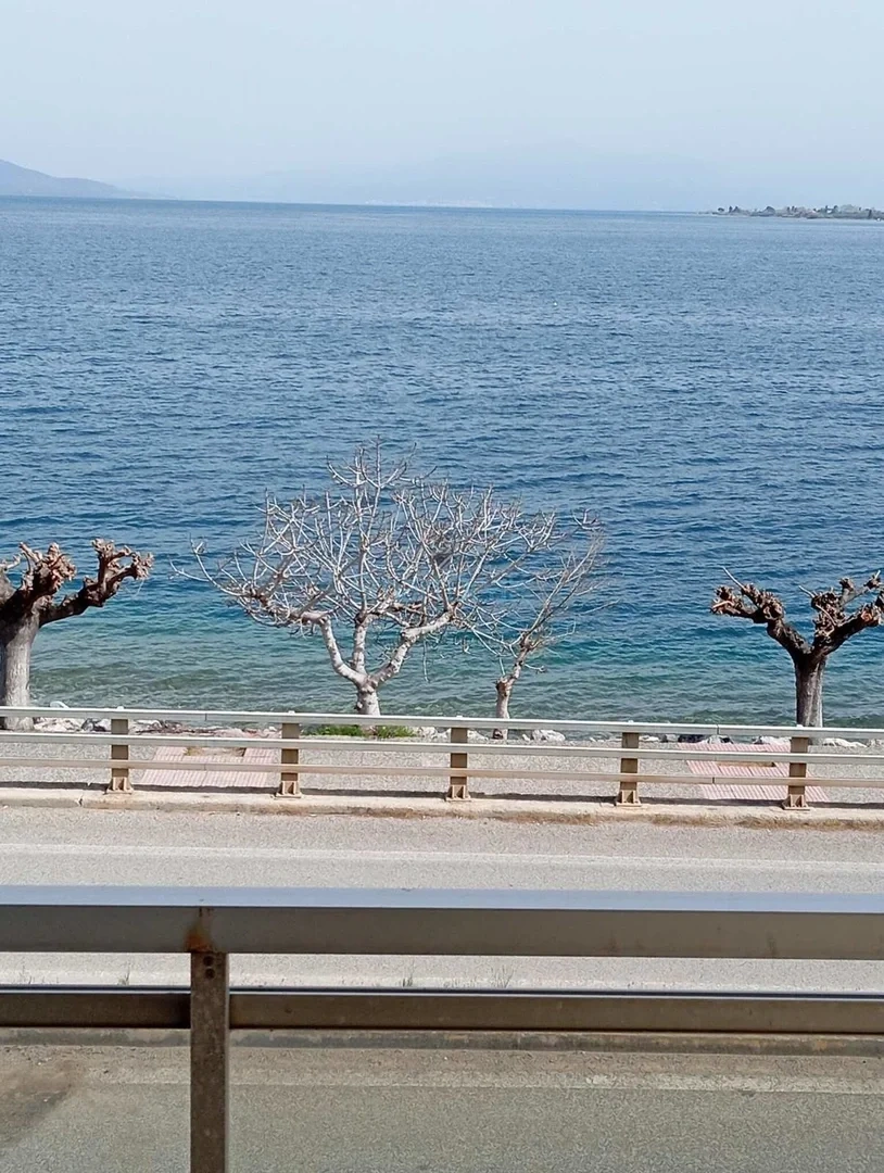 1 - vendita appartamento vista mare agios konstantinos grecia centrale grecia