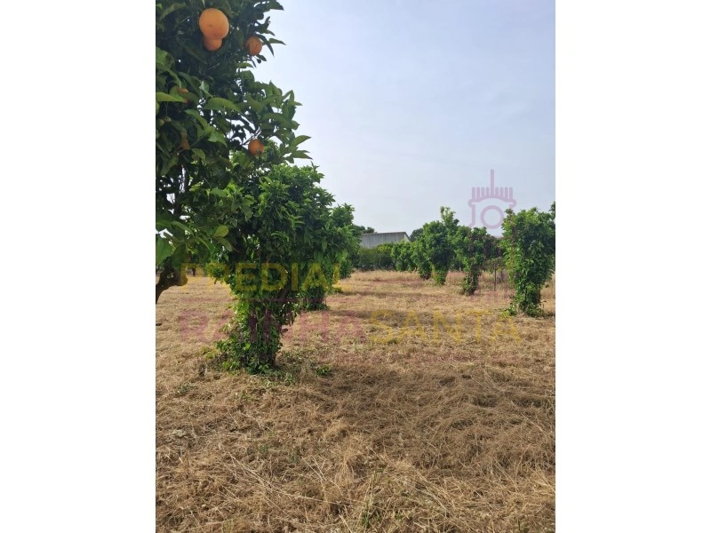 2 - venta terreno cartaxo alentejo portugal