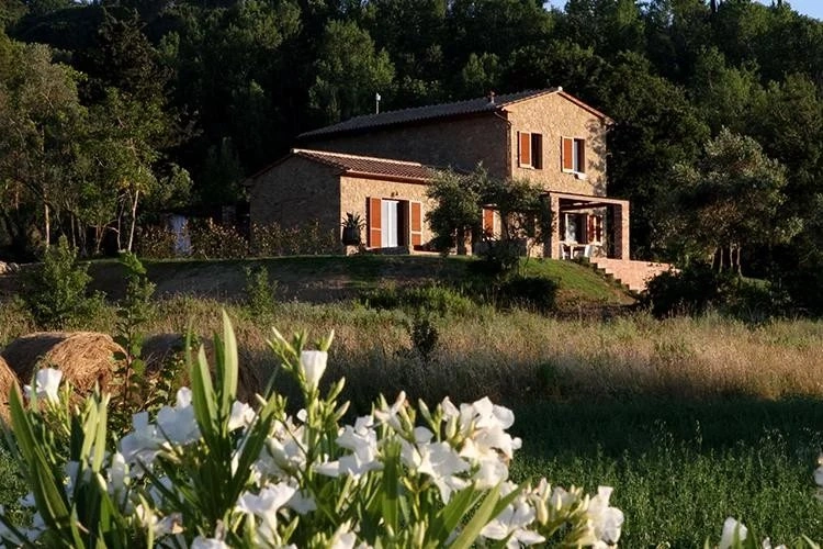 1 - продажа дом montescudaio тоскана италия