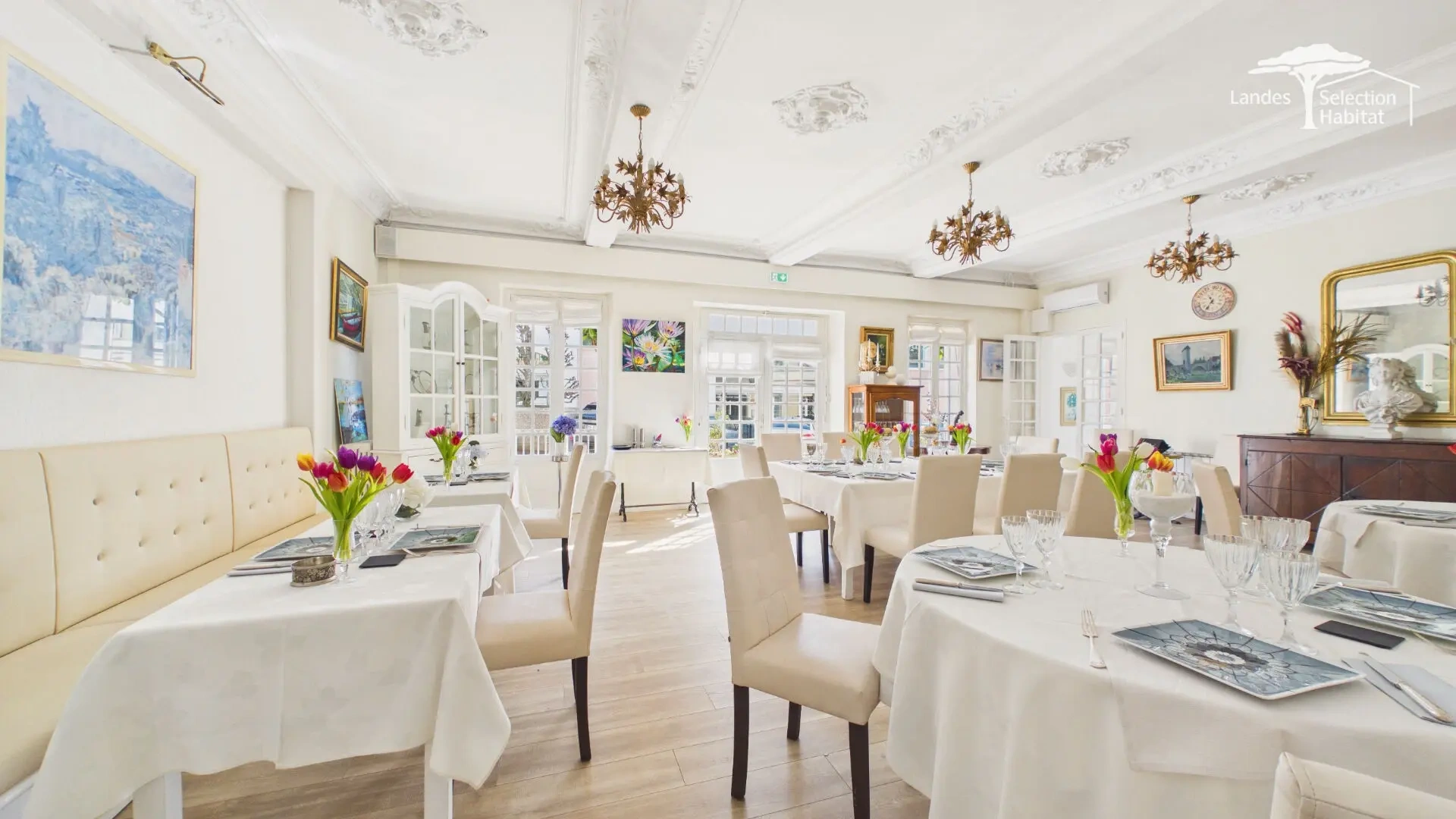 2 - business for sale in mont-de-marsan landes france